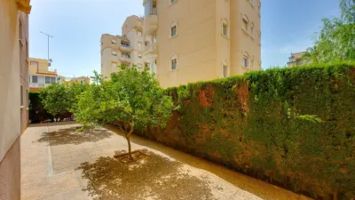 Pis – Torrevieja - Vista 3