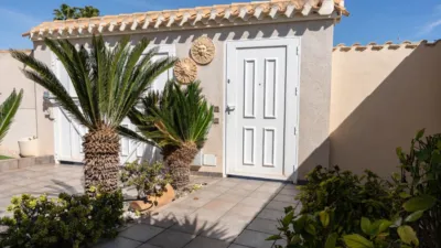 Chalet in Playa Flamenca photo 64
