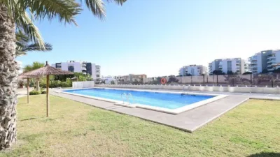 Apartment in Los Dolses photo 23