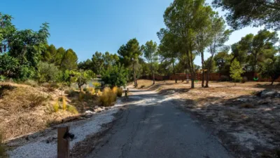 Chalet in El Palmar photo 4