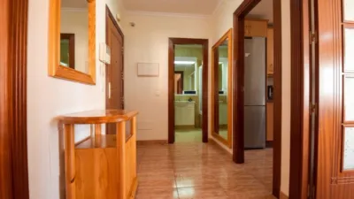 Apartment in El Ejido Centre photo 6