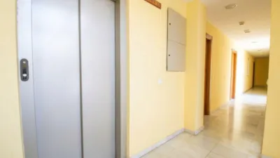 Apartment in El Ejido Centre photo 16