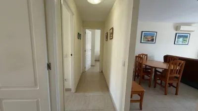Apartment in Assagador Marjal, 2 photo 21
