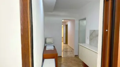 Pis – Elx - Elche - Vista 5