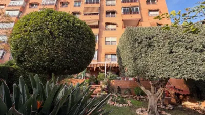 Apartment on Calle Elda, 3 photo 2