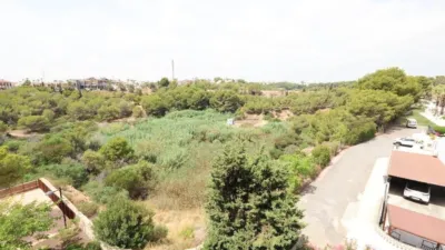 Pis – Orihuela, Villa Martín - Vista 5