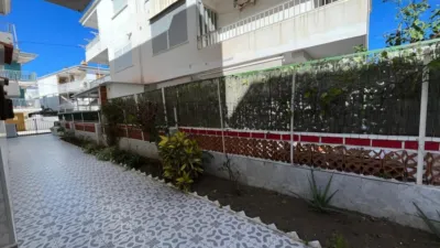Apartment in Oliva photo 14