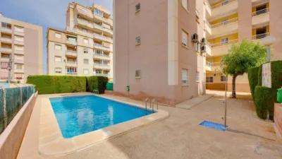Pis – Torrevieja - Vista 2