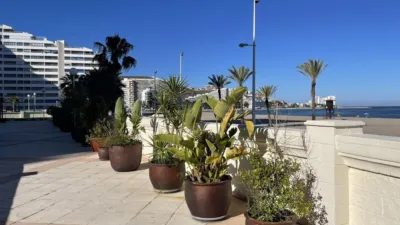 Apartment on Avenida de la Ciudad de Castellón photo 34