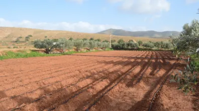 Rustic finca on Calle Majadilla photo 33