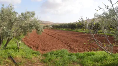 Rustic finca on Calle Majadilla photo 32