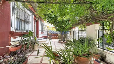 Apartment in Nervión photo 4