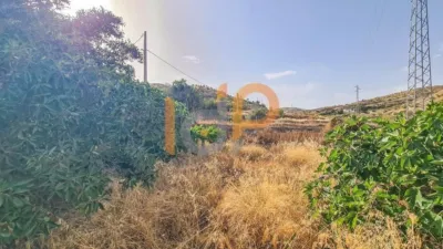 Rustic Finca in El Puertecico photo 42