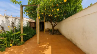 Ground floor apartment on Carrer de Joan Estelrich, Artigues photo 2