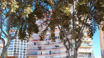 Apartment in Playa de Levante photo 14