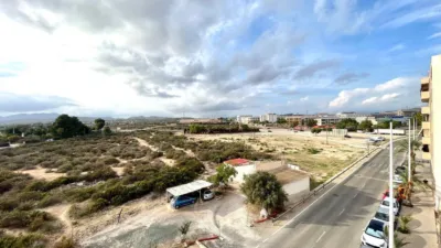Pis – Elx - Elche - Vista 2