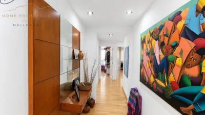 Apartment on Carrer de Francesc Martí i Mora photo 10
