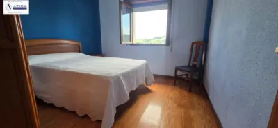 House in Barrio del Casuso photo 24