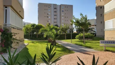 Apartment on Calle del Músico José Mira Figueroa photo 16