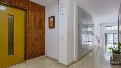 Apartment on Pintor Carlos Santiestebn Street photo 42