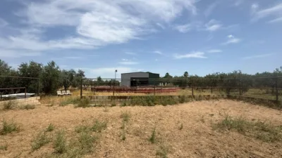 House on Camino de La Juncosa Street #Poligono 12 Parcela 36 photo 34