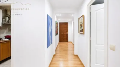Apartment on Carrer de Francesc Martí i Mora photo 17
