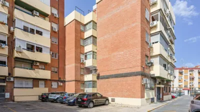 Apartment on Pintor Carlos Santiestebn Street photo 43