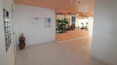 Apartment on Calle Goleta photo 17