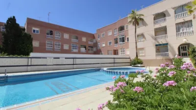 Apartment on Calle Goleta photo 15