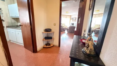 Apartment in Las Delicias photo 3