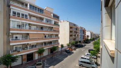 Pis – Torrevieja - Vista 4