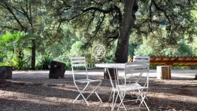 Rustic Finca in Alcover photo 46