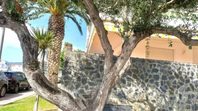 Apartment in Carrer del Poblat Típic photo 3