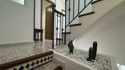 Bungalow in Cabo Cervera photo 7