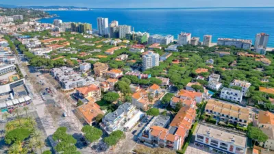 Apartment in Platja Llarga photo 18