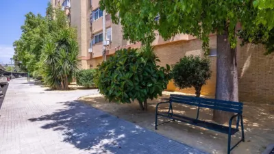 Apartment in Santa Clara photo 40