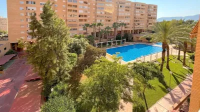 Pis – Alicante - Alacant - Vista 4