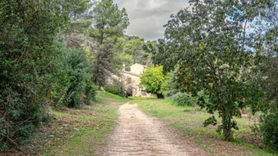 Chalet on Calle Despoblado photo 4