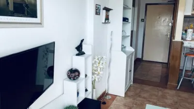 Apartment on Avenida Santiago Puig photo 3