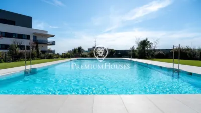 Apartment in La Plana photo 2