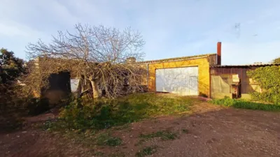 Rustic finca in Muro photo 4