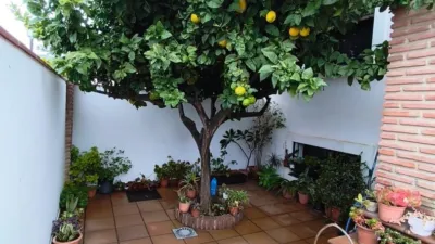 Chalet in Los Pacos photo 4