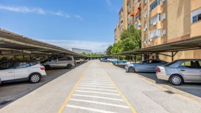 Apartment in Santa Clara photo 19