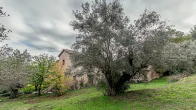 Chalet on Calle Despoblado photo 7