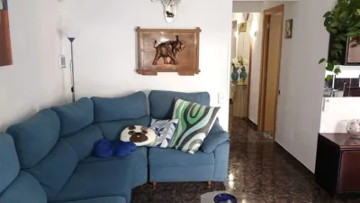 Apartment in Barri de Mar photo 2