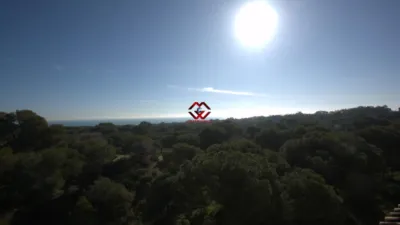 Pis – Guardamar del Segura - Vista 5