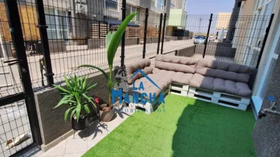 Apartment in Los Llanos photo 16