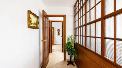 Apartment in Hoyo del Membrillo photo 18