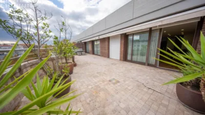 Penthouse on Calle San Fernando photo 3