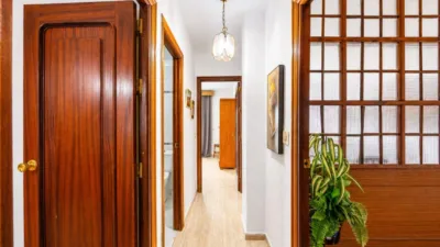 Apartment in Hoyo del Membrillo photo 17